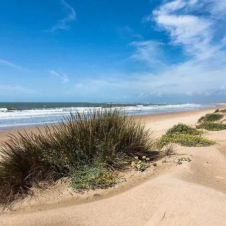 Fantástico ático Con Terraza, Garaje, Wifi, Con Todo Playa, Piscina Y Casa Y No Facturar Maletas!